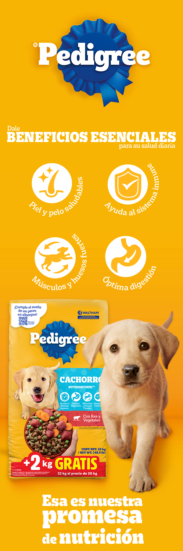 Promoción Zona Pet 1