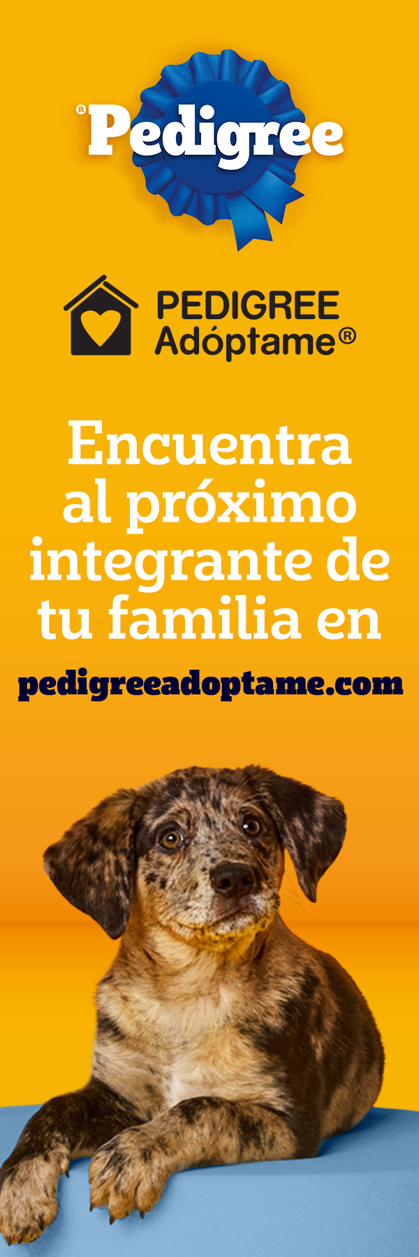 Promoción Zona Pet 4