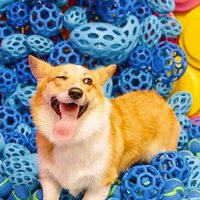 Corgi feliz en una alberca de pelotas